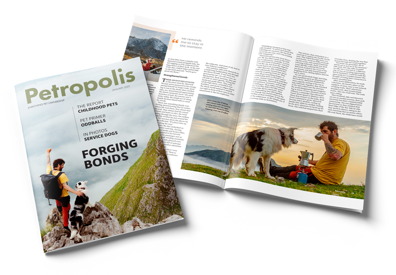 Petropolis Magazine mockup.